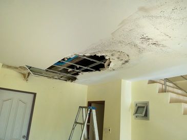 Hire a Professional to Remove Mold; Mold in ceiling 